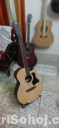 AS semi acoustic guiter